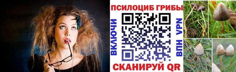 купить наркотик  Оха  Галлюциногенные грибы Cubensis 